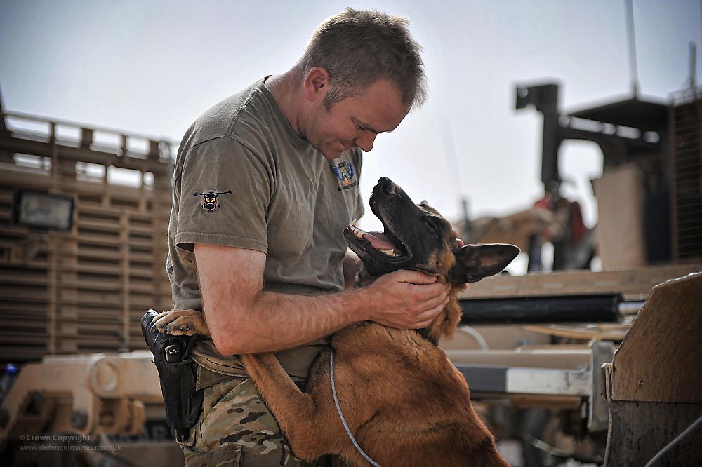 serviceman with malinois