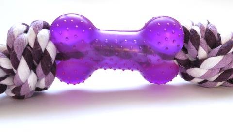 purple bone and rope toy