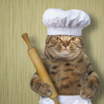 Making biscuits - cat with dough and rolling pin