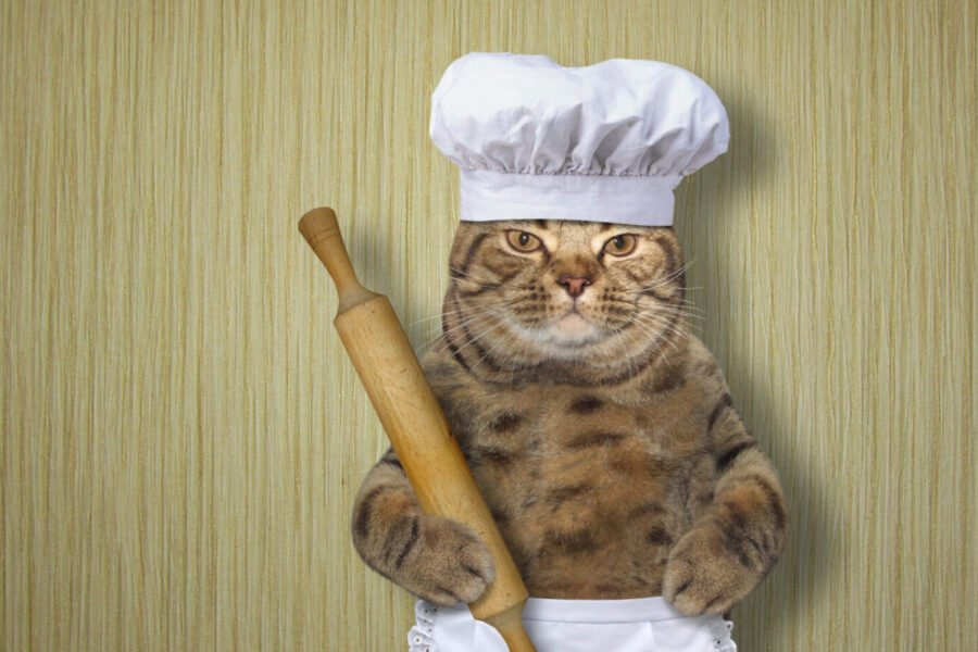 Making biscuits - cat with dough and rolling pin