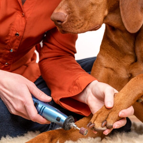 dog nails being groomed with nail grinder.