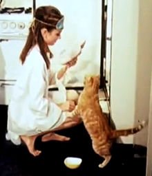 Audrey Hepburn with cat in Breakfast at Tiffany's